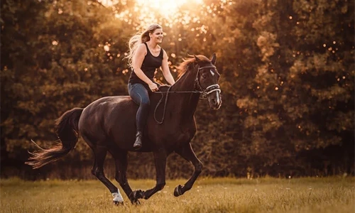 Kommunikation Reiten